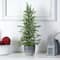 27" Californian Cedar Artificial Christmas Tree in Decorative Planter
